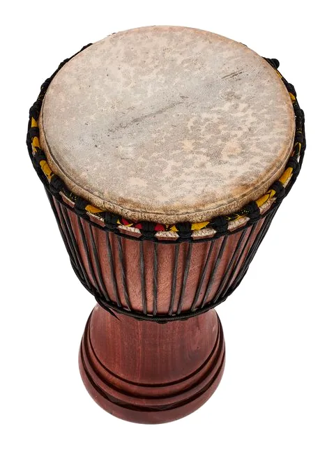 African Percussion MDJ103 Djembe, vue de profil, photo 3