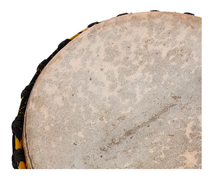 African Percussion MDJ103 Djembe, sur fond neutre, photo 4