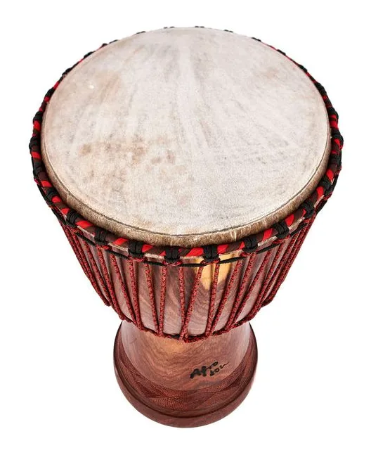 Afroton AD-M03 Masterclass Djembe, vue de face, photo 3