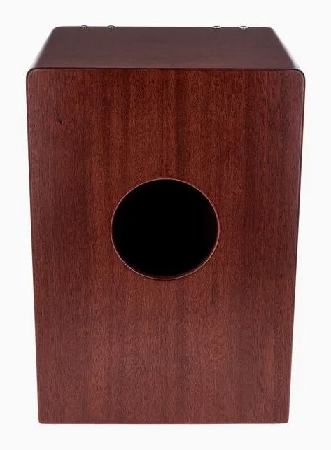 DG De Gregorio Fenix Deluxe Cajon, vue de trois quarts, photo 4