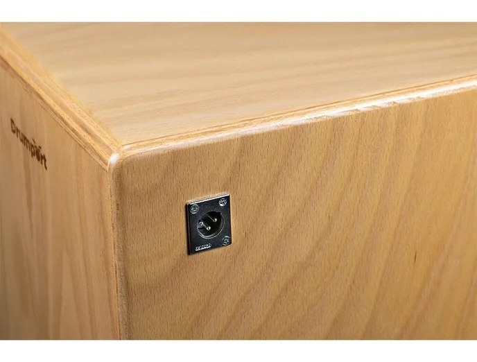 Drumport StompTech Plug 'n Play Cajon Tineo, sur fond neutre, photo 3