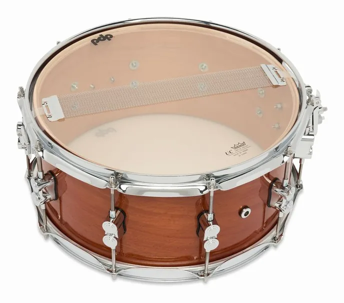 DW PDP 14"x6,5" CM Exotic HM, sur fond neutre, photo 4