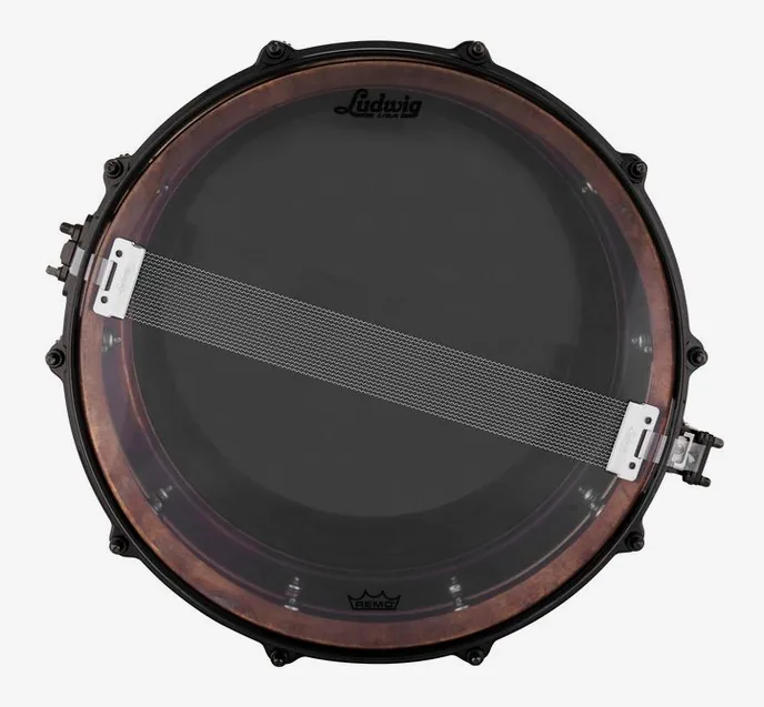 Ludwig 14"x6,5" Raw Ham. Copper Phon., vue de près, photo 4
