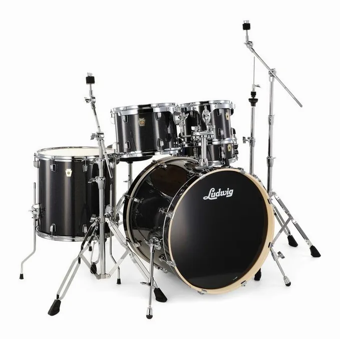 Ludwig Evolution 20" Moon Dust, vue de face, photo 3