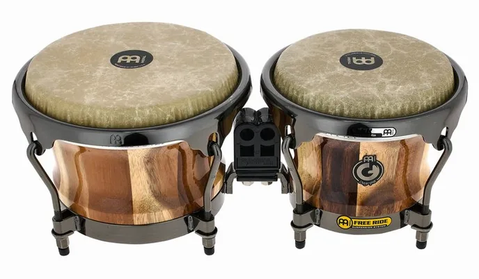 Meinl Artist Diego Gale Bongos, vue de trois quarts, photo 2