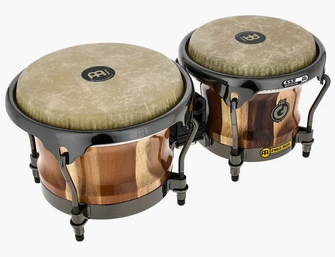 Meinl Artist Diego Gale Bongos, vue de trois quarts, photo 3