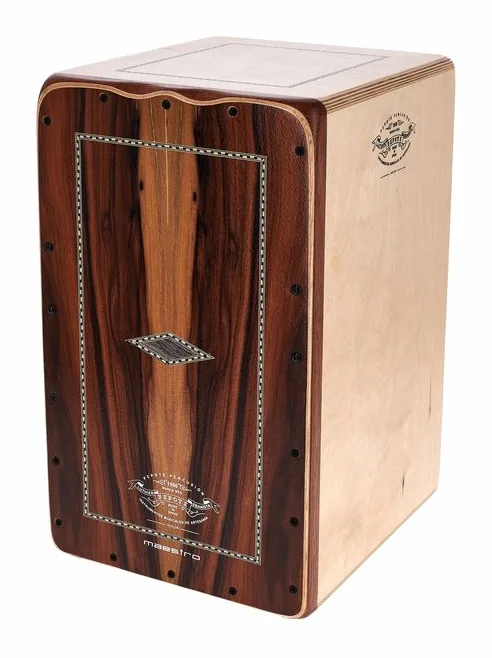 Pepote Maestro Cajon, sur fond neutre
