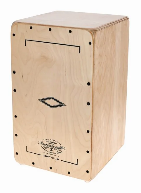 Pepote Percus Cajon, de face sur fond neutre