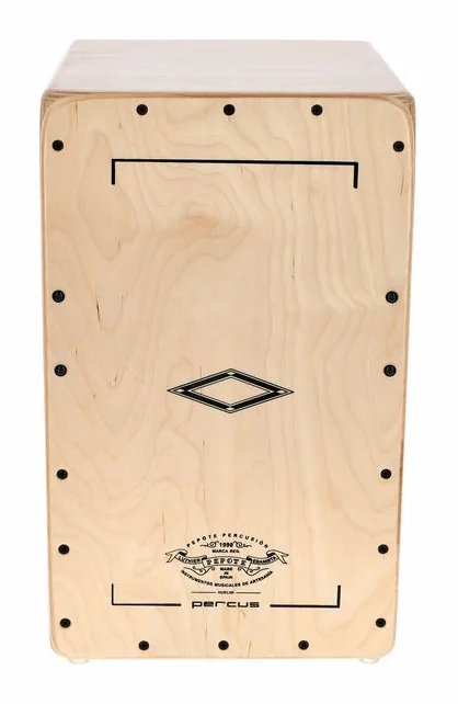 Pepote Percus Cajon, sur fond neutre, photo 2