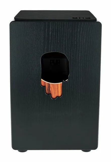 PUR Vision Pro Black Palisander, vue de dessus, photo 4