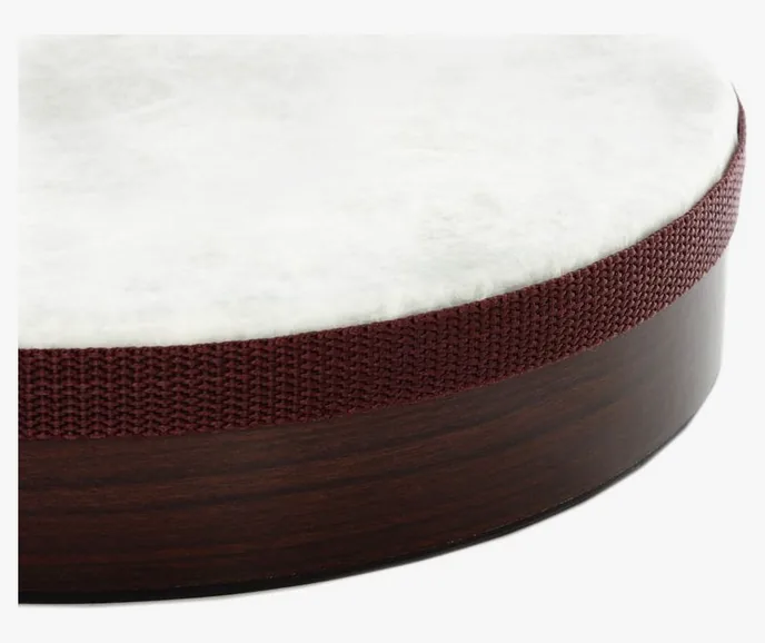Remo 10"x02" Frame Drum, sur fond neutre, photo 4