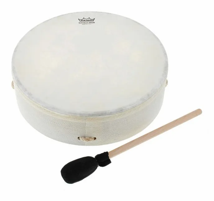 Remo Buffalo Drum 12"x3,5", de face sur fond neutre