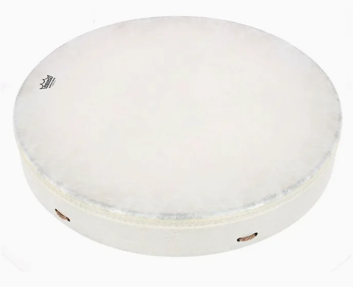Remo Buffalo Drum 22"x3,5", de face sur fond neutre