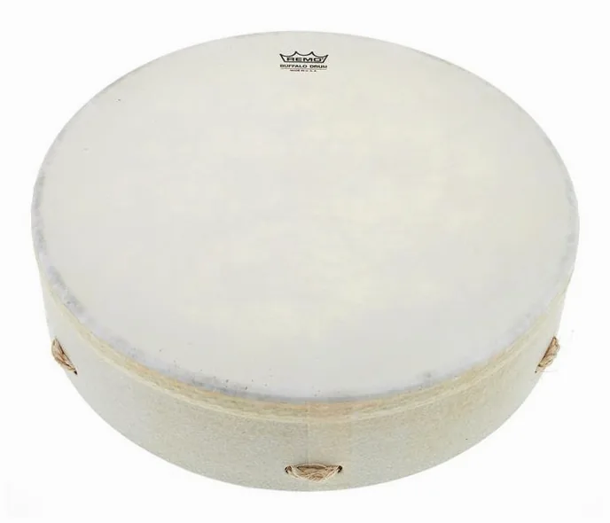 Remo Buffalo Drum 14"x3,5", vue de près, photo 2