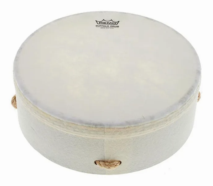 Remo Buffalo Drum 10"x3,5", vue de face, photo 2
