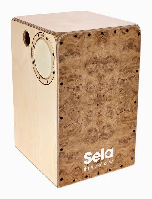 Sela SE-IC3 Iconic Cajon Oak Roots, vue de trois quarts, photo 3