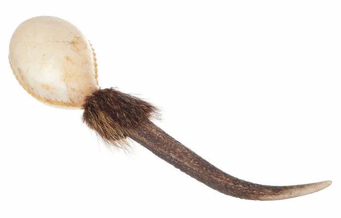 Terre Shamanshaker deer ant rain L, sur fond neutre