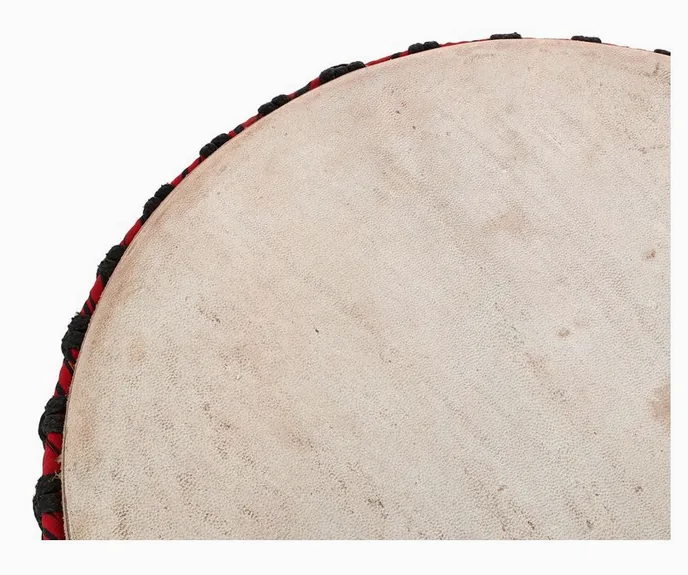 Thomann MMD 114 Master Djembe, sur fond neutre, photo 4