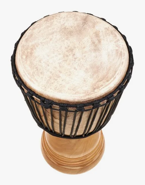Thomann NN28 Djembe V2, vue de face, photo 4