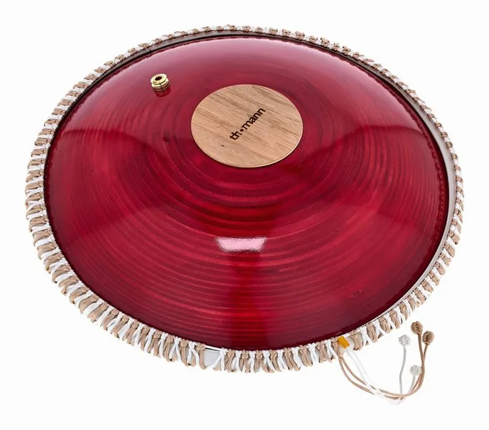 Thomann Tongue Drum 14" EQ D-Kurd 432, vue de près, photo 3