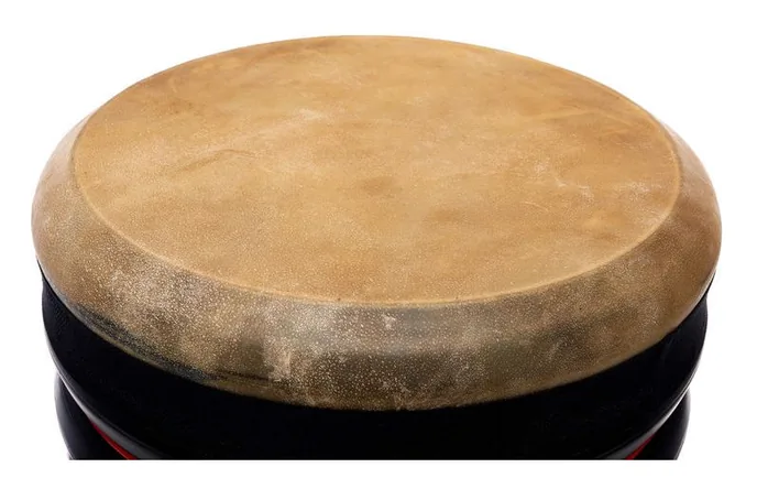 Trommus E2t Percussion Drum Set, vue de face, photo 4