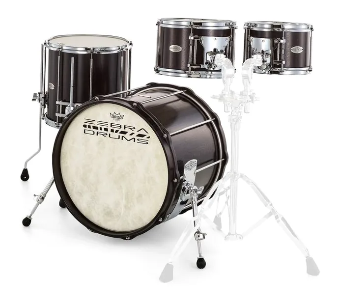 Zebra Drums Studio London Plane Tree Set, sur fond neutre